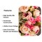 Zoey Blush Pink Faux Peony Flower Wreath 23" All Season Indoor Outdoor Decor